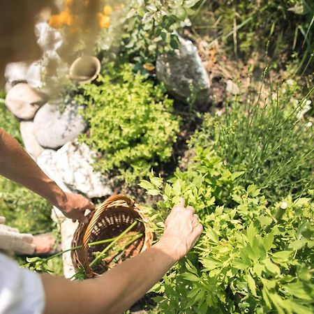Chalet Alpenrose Bio Wellness Naturhotel Cogolo Dış mekan fotoğraf