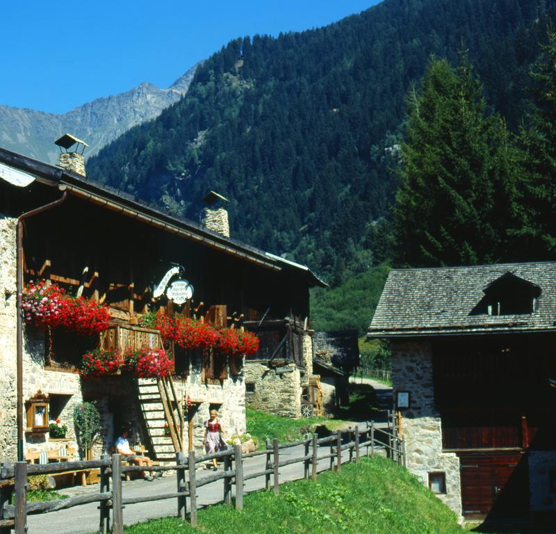 Chalet Alpenrose Bio Wellness Naturhotel Cogolo Dış mekan fotoğraf