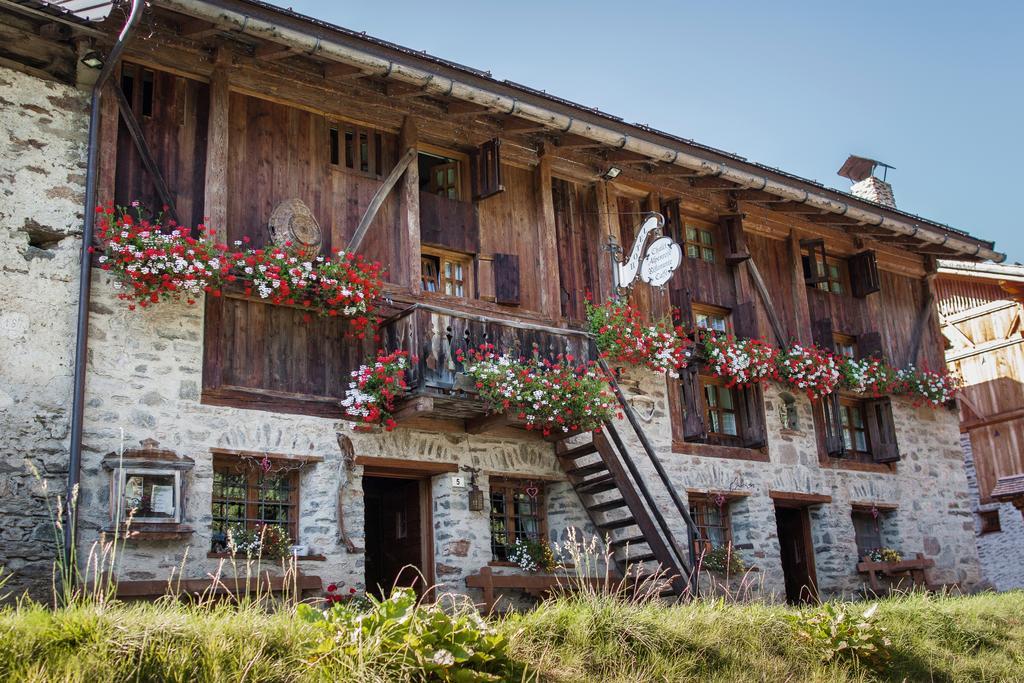 Chalet Alpenrose Bio Wellness Naturhotel Cogolo Dış mekan fotoğraf
