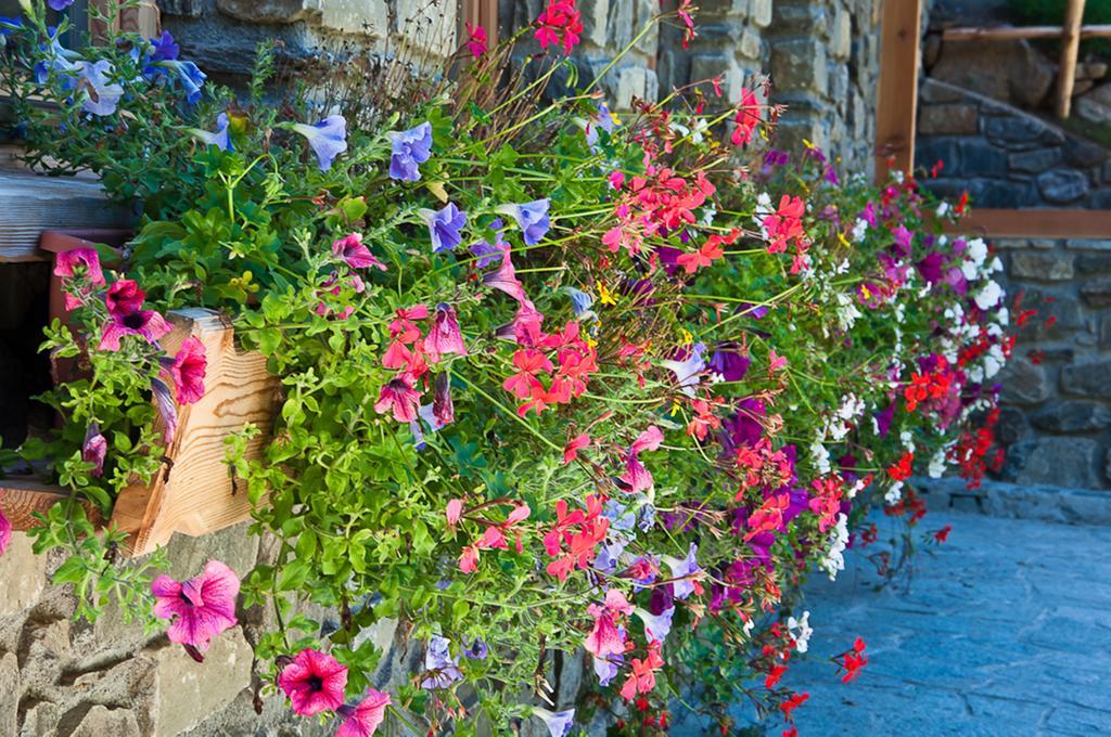 Chalet Alpenrose Bio Wellness Naturhotel Cogolo Dış mekan fotoğraf