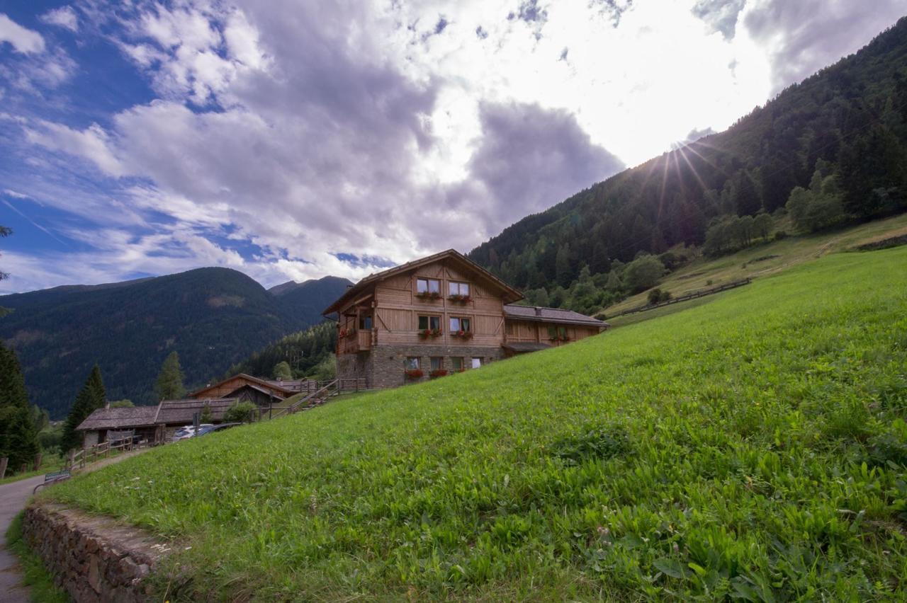 Chalet Alpenrose Bio Wellness Naturhotel Cogolo Dış mekan fotoğraf