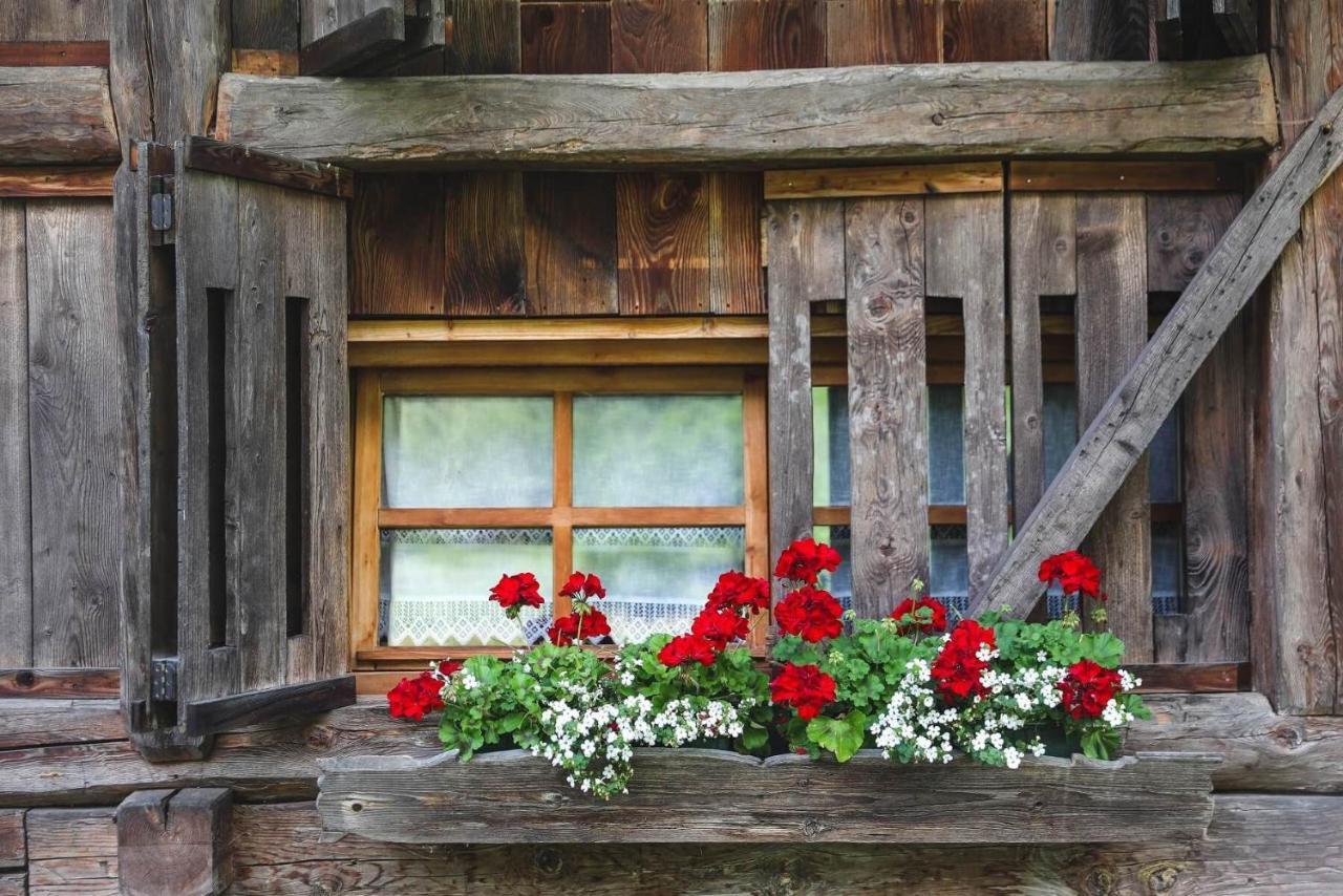 Chalet Alpenrose Bio Wellness Naturhotel Cogolo Dış mekan fotoğraf